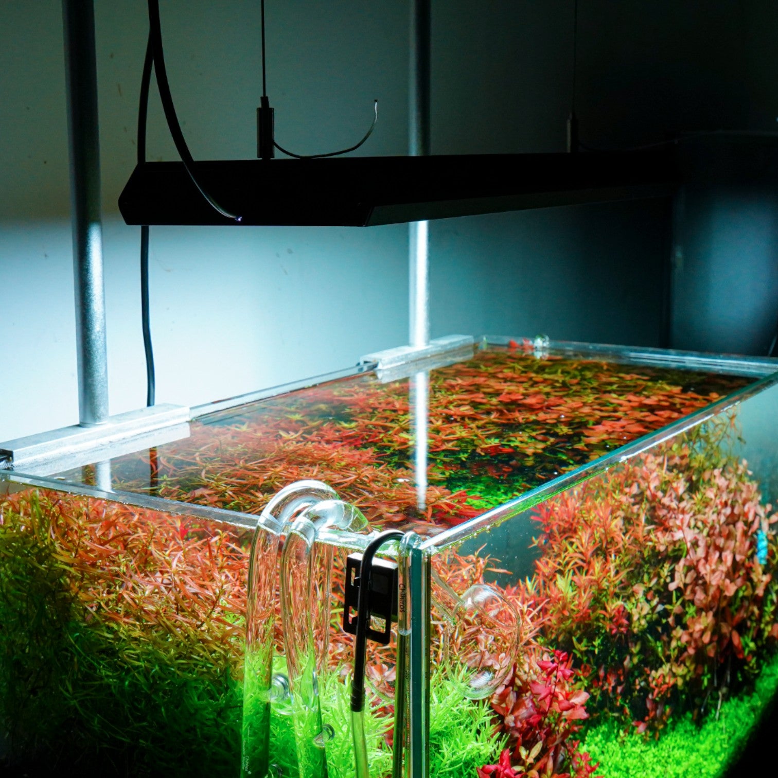 Chihiros VIVID II Mate RGB LED 60-90cm | The Aquascape Shop