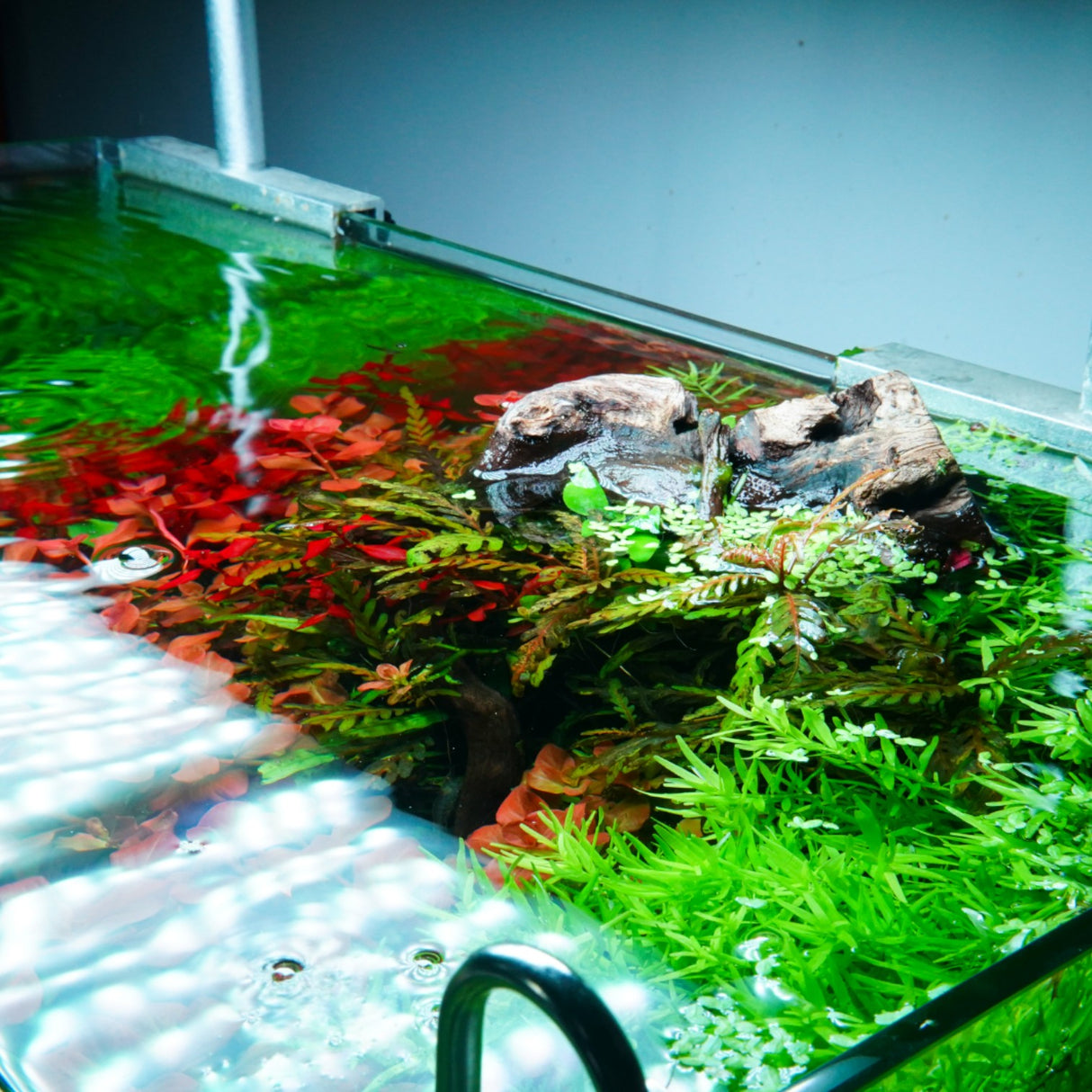 Chihiros RGB VIVID II Mate LED