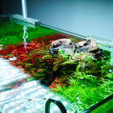 Chihiros RGB VIVID II Mate LED