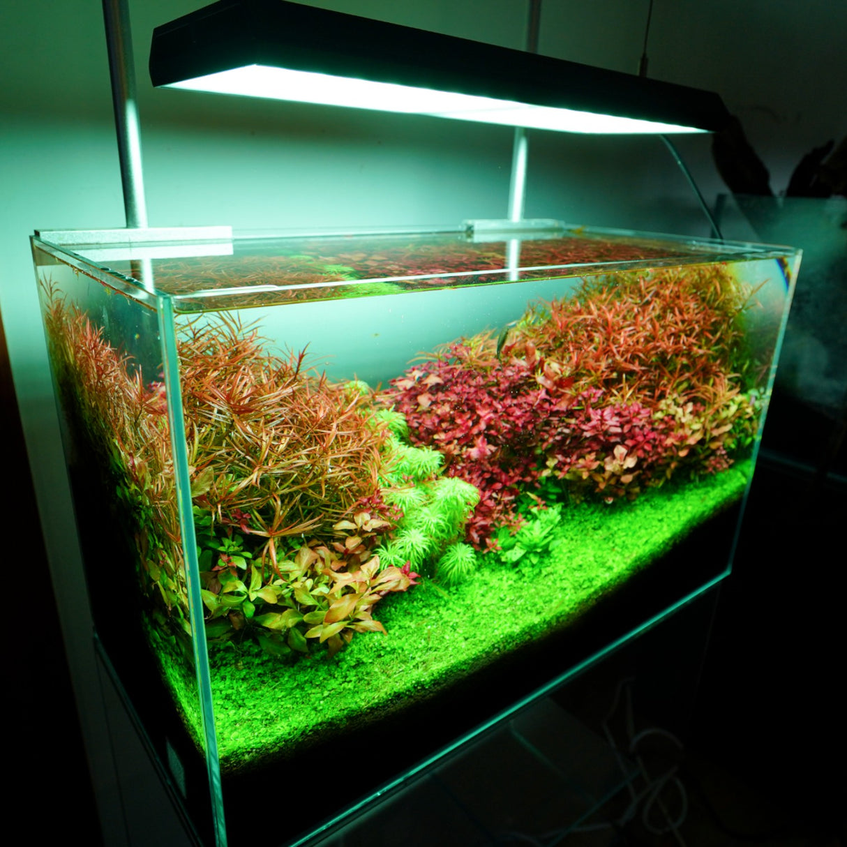 Chihiros RGB VIVID II Mate LED