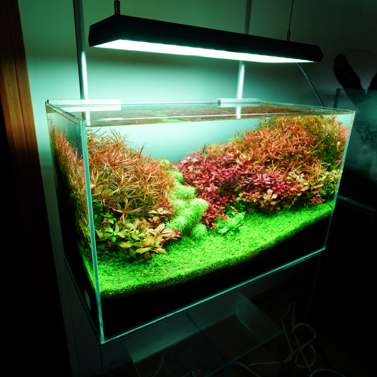 Chihiros RGB VIVID II Mate LED