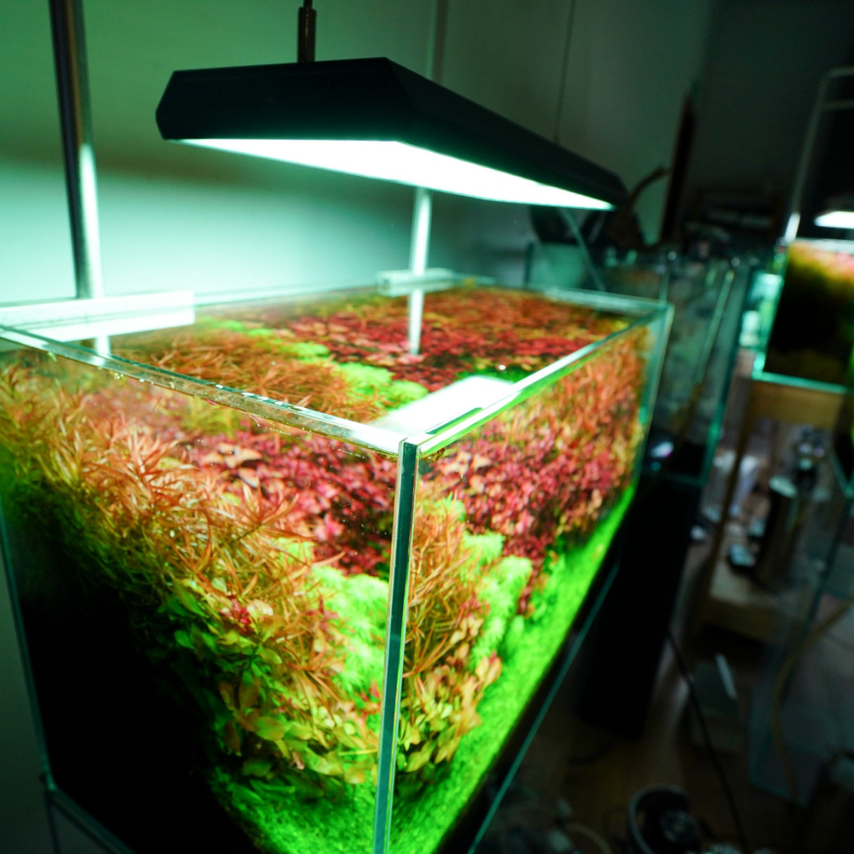 Chihiros RGB VIVID II Mate LED