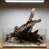 Dragon Driftwood