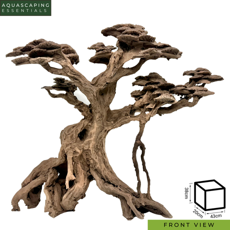 Ancient Canopy Resin Bonsai Tree