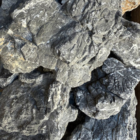 Turtle Vein Stone - 1 - The Aquascape Shop