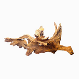 Horn Driftwood