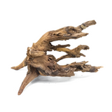 Horn Driftwood