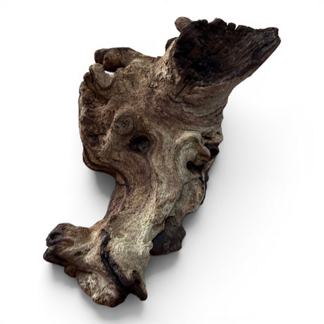 Mopani Wood