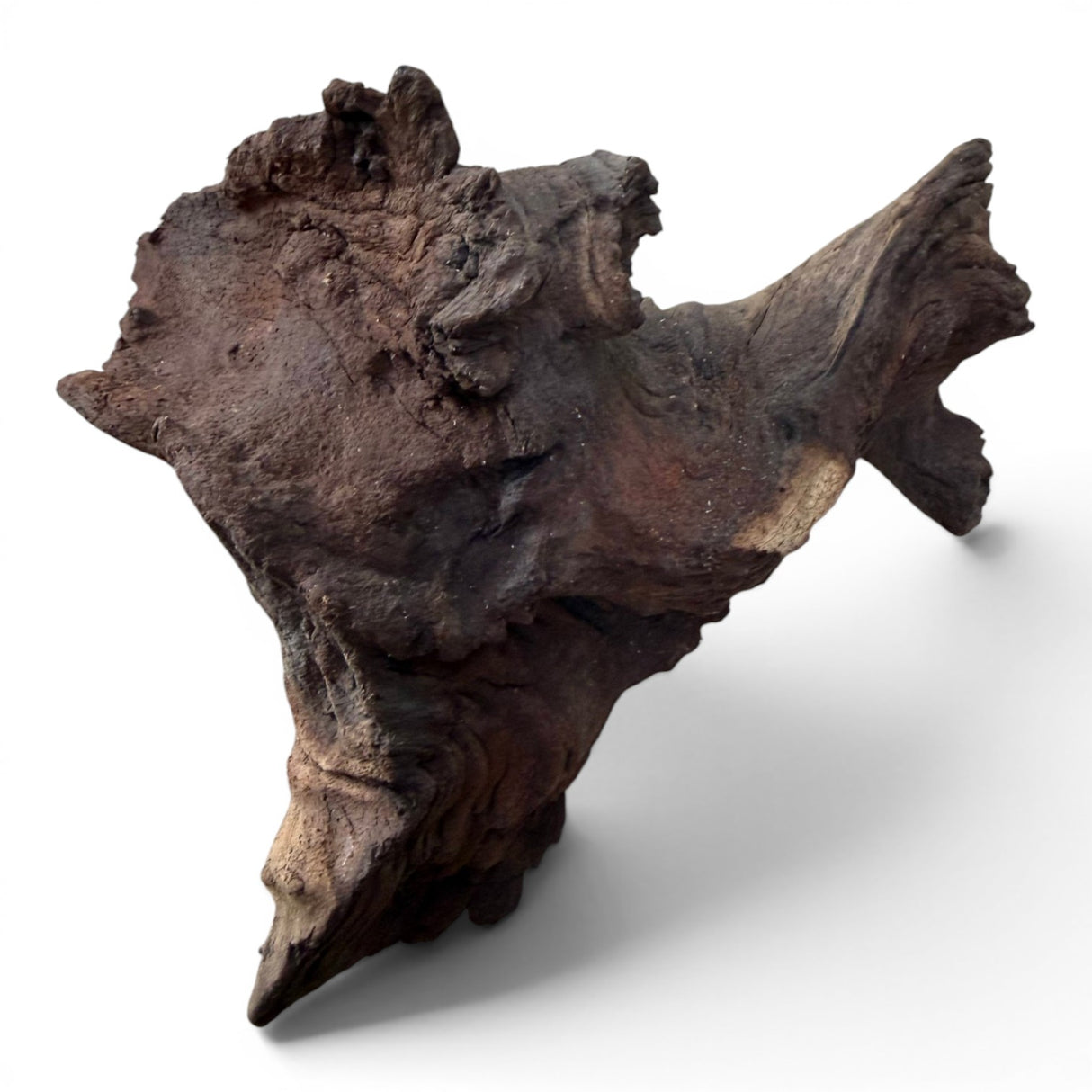Mopani Wood