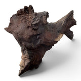 Mopani Wood