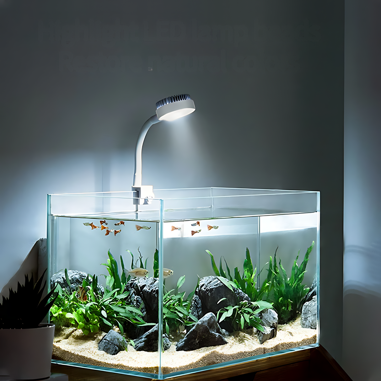 Fish led light best sale