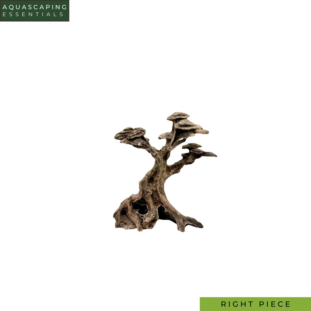 Timeless Forest Set Resin Bonsai Tree