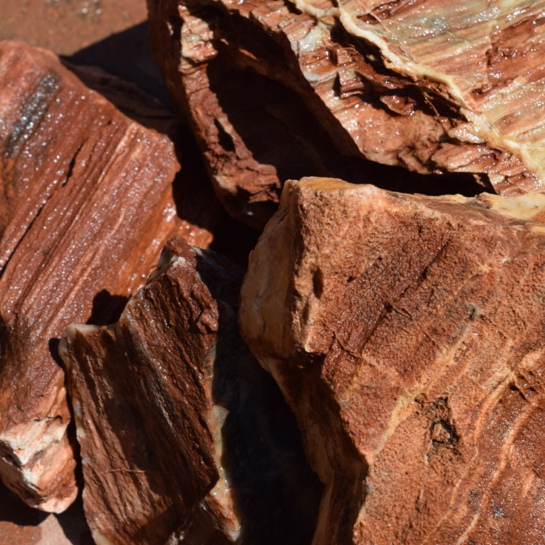 Red Petrified Wood Stone