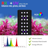 Week Aqua M Series RGB-UV LED