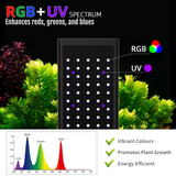 Week Aqua P Series RGB-UV LED Version 3 (2025)