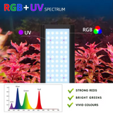 Week Aqua P Series RGB-UV LED