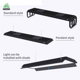 Week Aqua P Series RGB-UV LED Version 3 (2025)