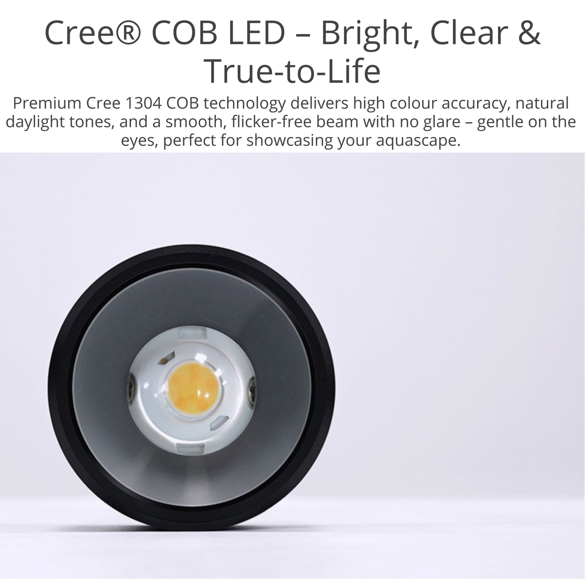 Week Aqua Mini7 Pro-F LED