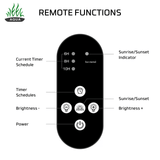 Z200 WRGB Remote Functions