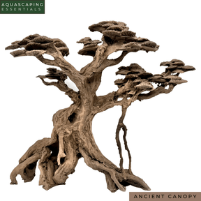 Ancient Canopy Resin Bonsai Tree - The Aquascape Shop