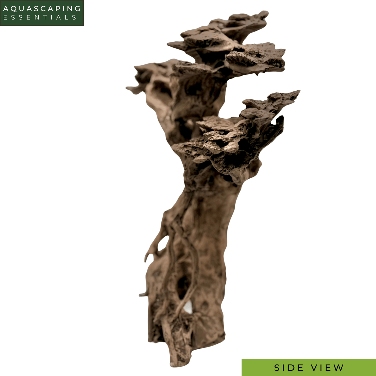 Ancient Canopy Resin Bonsai Tree - The Aquascape Shop