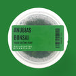 Anubias Bonsai Tissue Culture (Aquascaping Essentials) - The Aquascape Shop