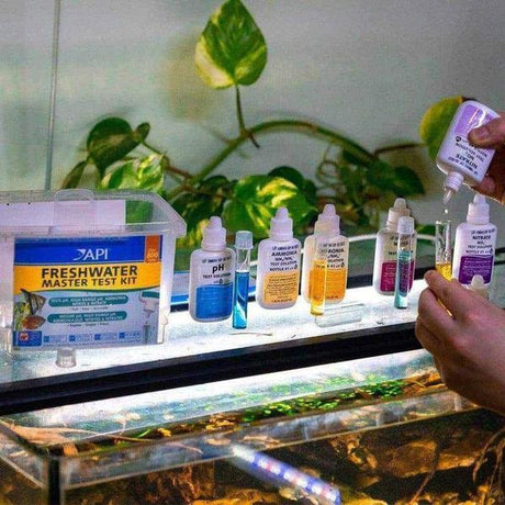 API Freshwater Master Test Kit - The Aquascape Shop
