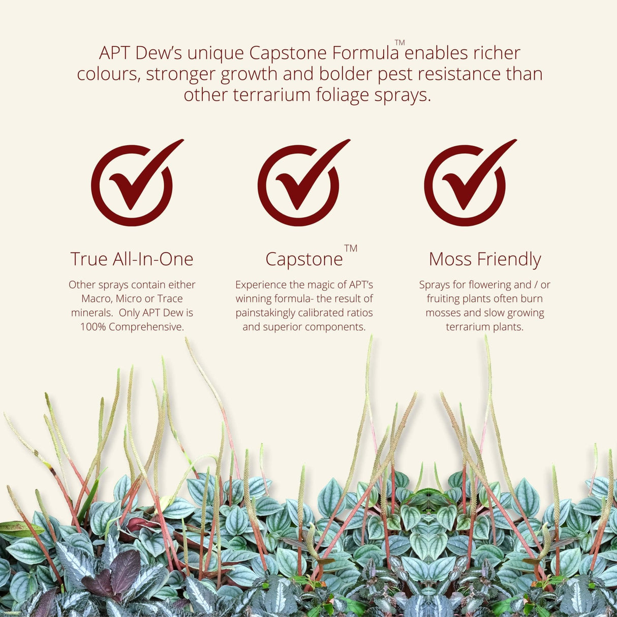 APT Dew - The Aquascape Shop