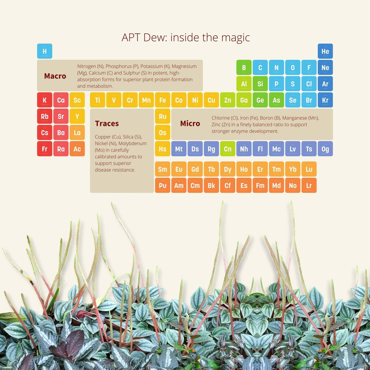 APT Dew - The Aquascape Shop