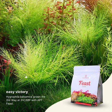 APT Feast Aquasoil - The Aquascape Shop