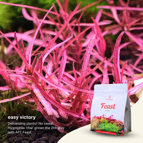 APT Feast Aquasoil - The Aquascape Shop