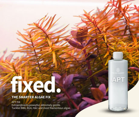 APT Fix - The Aquascape Shop