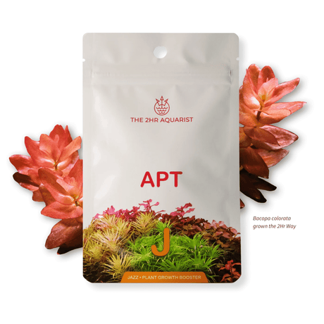 APT Jazz - The Aquascape Shop