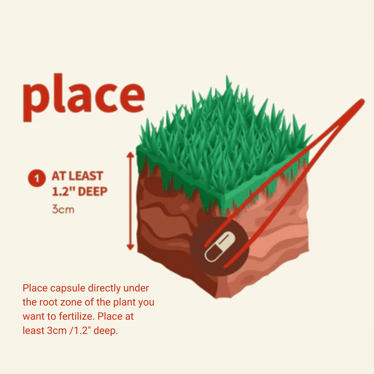 APT Jazz - The Aquascape Shop