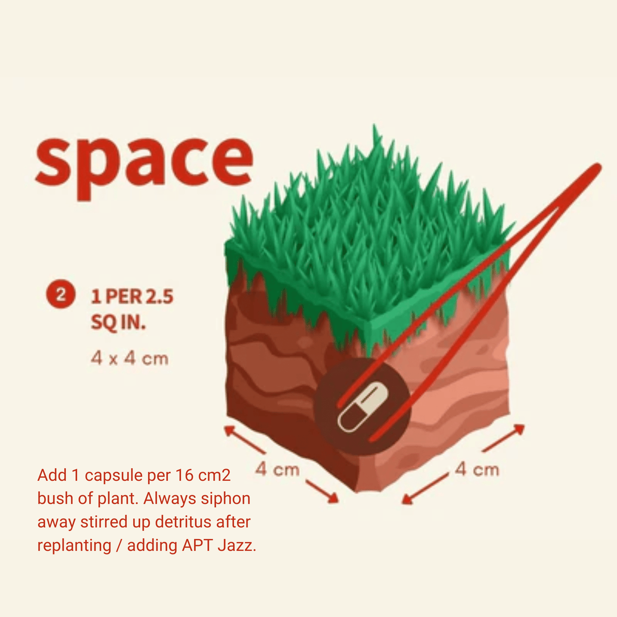 APT Jazz - The Aquascape Shop