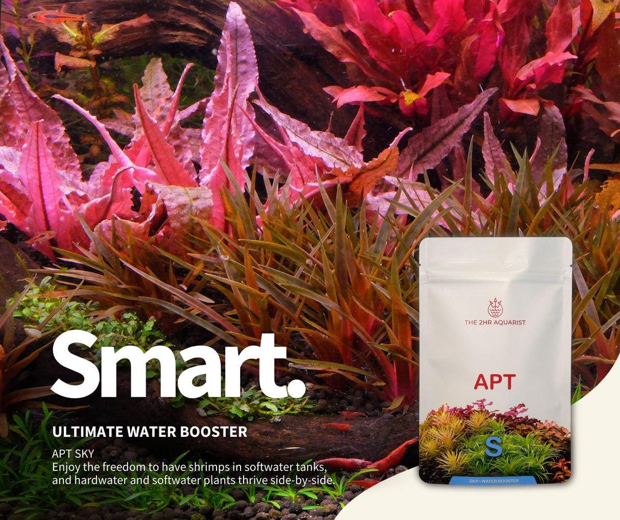 APT Sky - The Aquascape Shop