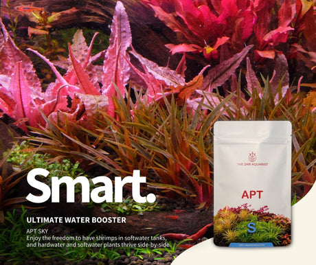 APT Sky - The Aquascape Shop