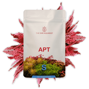 APT Sky - The Aquascape Shop