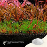 APT Sky - The Aquascape Shop