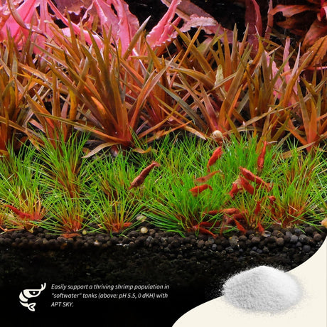 APT Sky - The Aquascape Shop