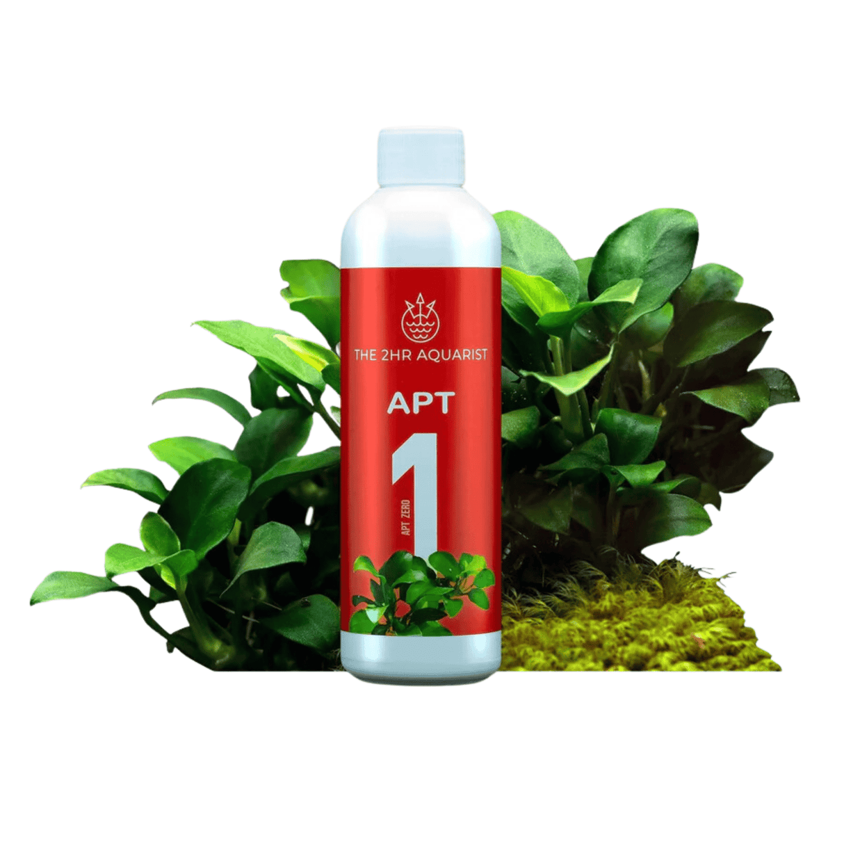 APT Zero (1) - The Aquascape Shop