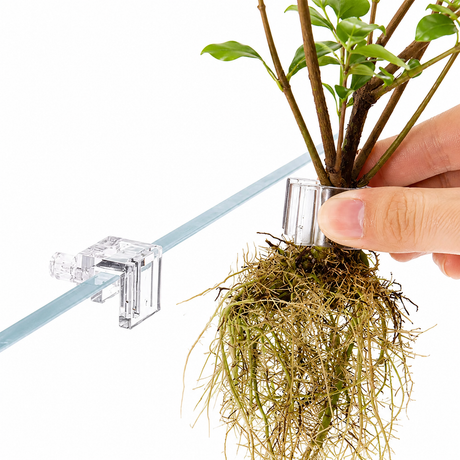 Aquapro Aquarium Plant Holder Clips