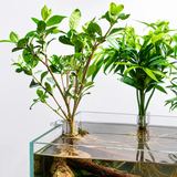 Aquapro Aquarium Plant Holder Clips