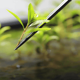 Aquapro Pro Plant Tweezers - Silver - The Aquascape Shop