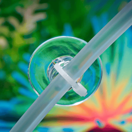Aquarium Suction Cups with Zip Ties – 4 Pack - The Aquascape Shop