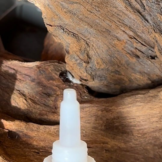 Aquascape Pro Bonding Foam - The Aquascape Shop