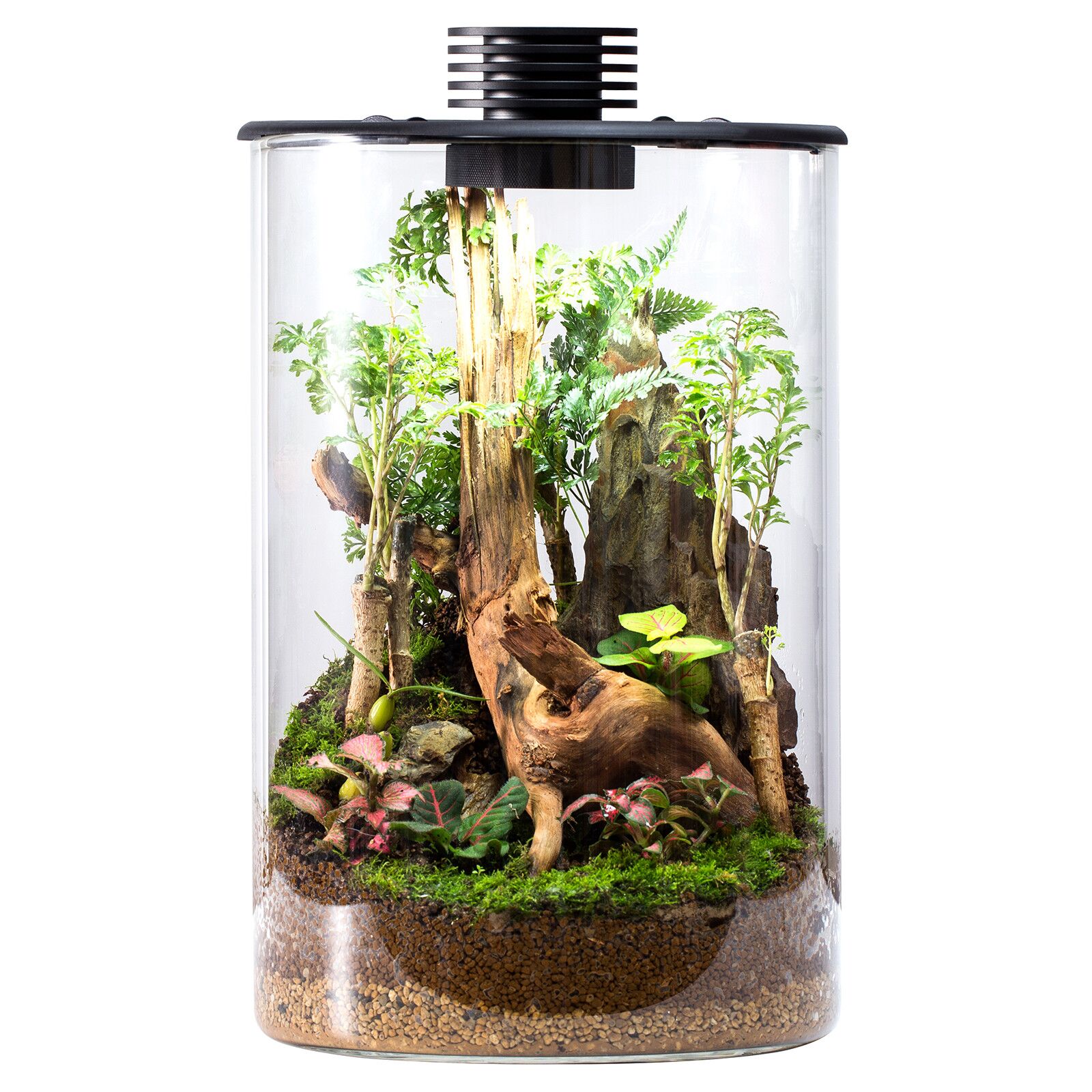 u*i様 Bioloark BIO BOTTLE ZD200 Bioloark Bio Bottle ZD LED Terrarium | The Aquascape Shop
