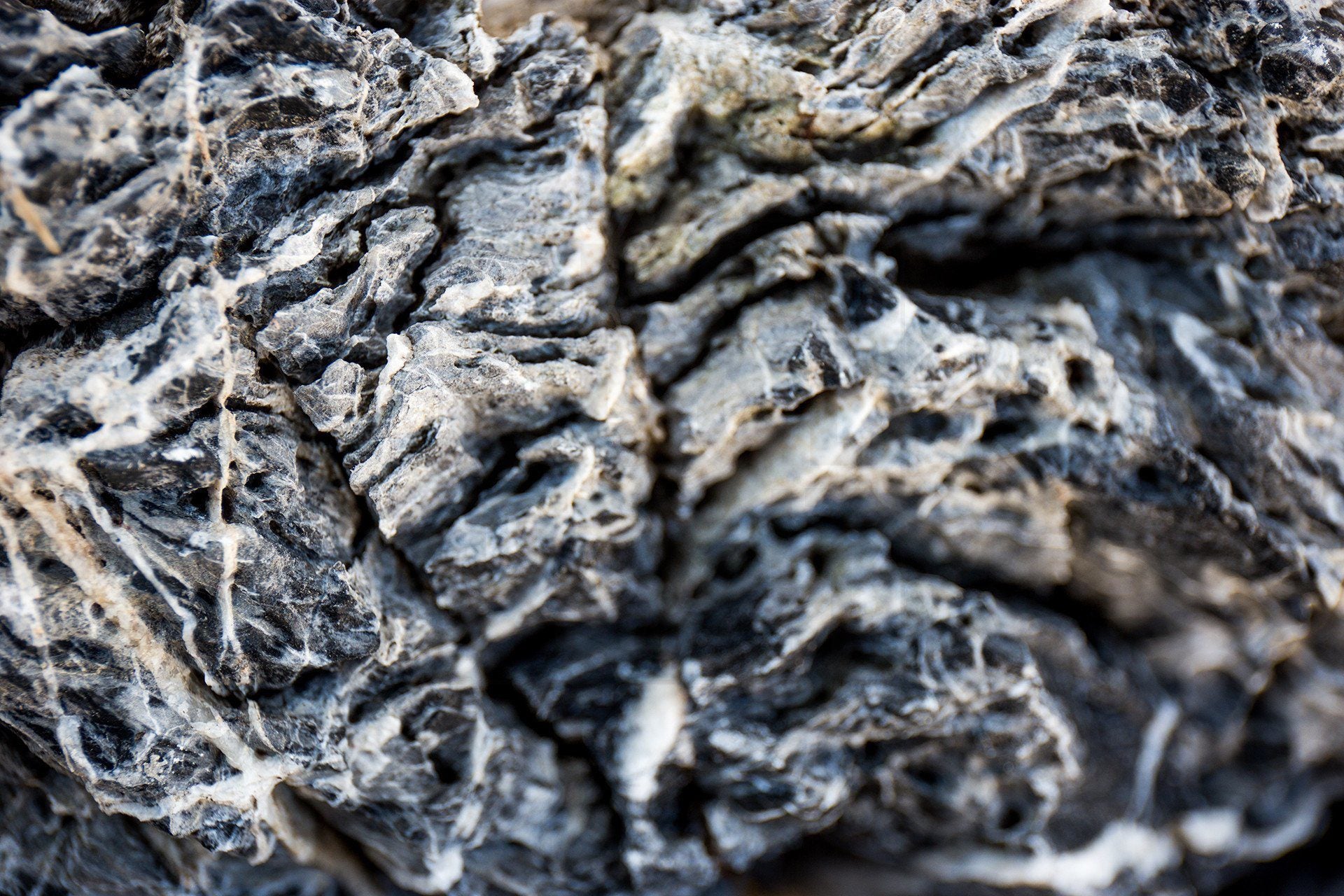 自然石 水石 不規則形状 黑山青龙石| 水族馆硬景观– The Aquascape Shop