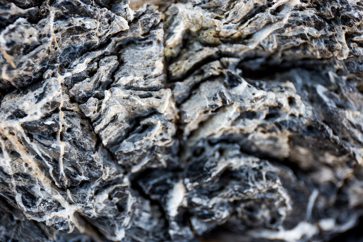 Black Mountain Seiryu Stone - The Aquascape Shop