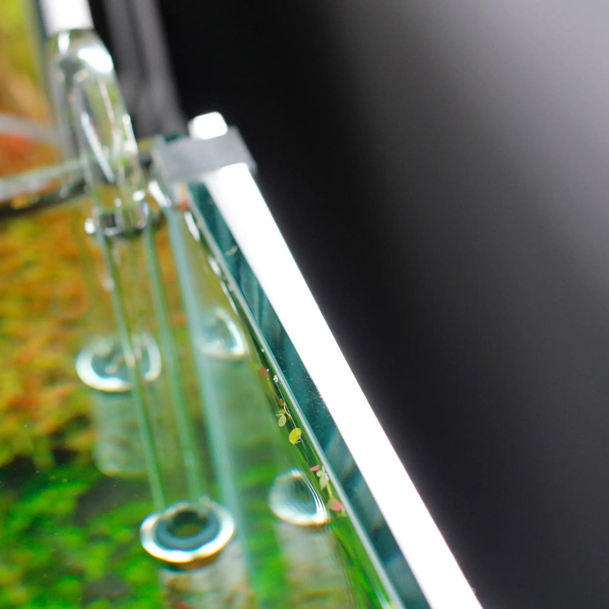Chihiros Aquarium Background LED Lightscreen - The Aquascape Shop